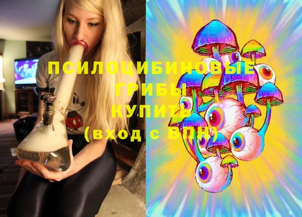 гашик Верхний Тагил